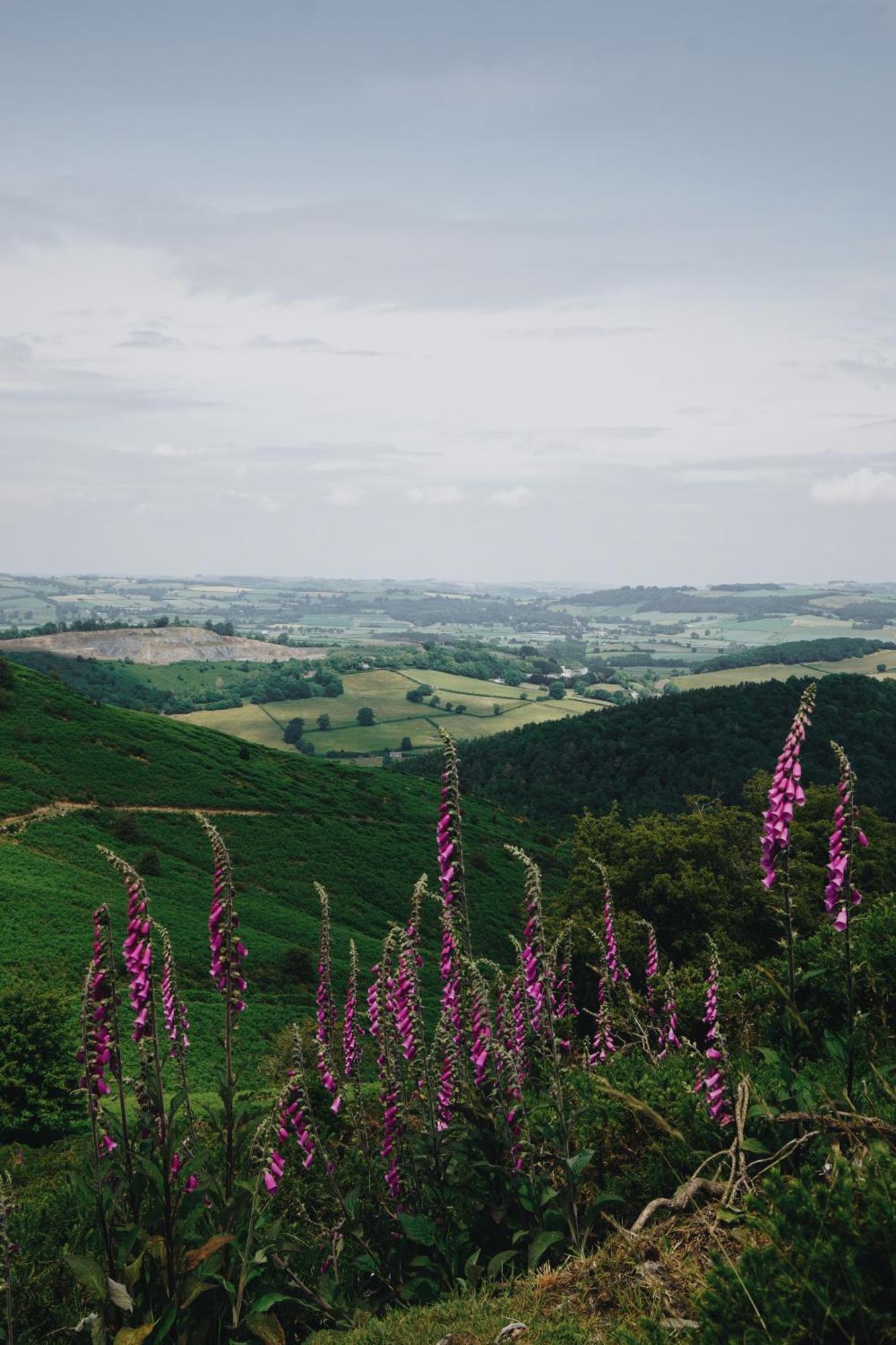 Two Unique Cabins Wrapped In Beautiful Welsh Scenery Presteigne Eksteriør billede