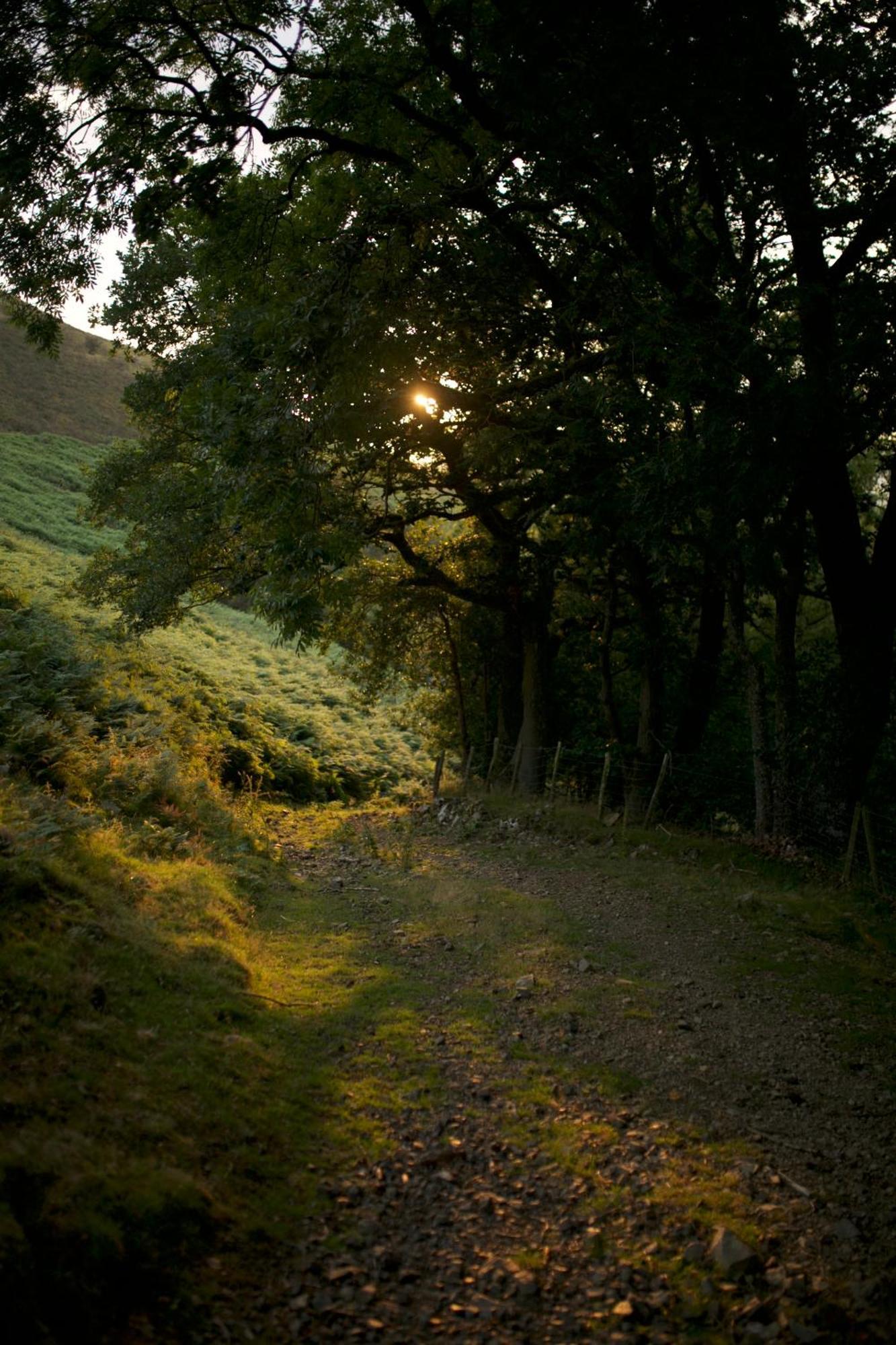 Two Unique Cabins Wrapped In Beautiful Welsh Scenery Presteigne Eksteriør billede