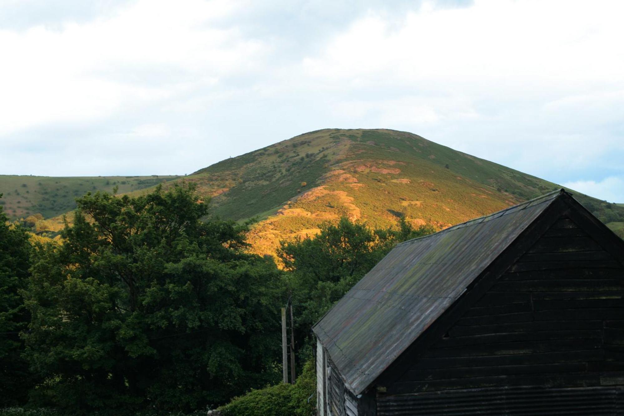 Two Unique Cabins Wrapped In Beautiful Welsh Scenery Presteigne Eksteriør billede